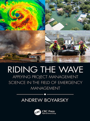 cover image of Riding the Wave